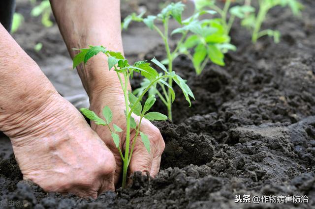 鱼蛋白能增强性功能吗 鱼蛋白可以提高男性性功能吗
