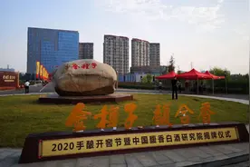 传世开窖，天地同酿！金种子酒业“2020手酿开窖节”隆重举行图片