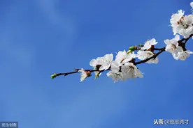 老人说：碰到那种安静又爱笑的人，不要小瞧，这种人往往很厉害图片