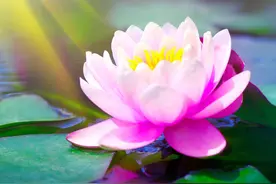 天籁之音：《来生愿做一朵莲》好听极了！图片