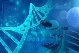 人类多能干细胞培养出皮肤“类器官”！图片