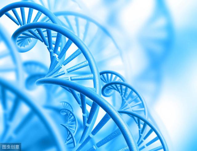 高中生物：学习过程中的这5大易错点，建议多看看