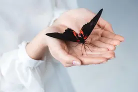 如果上天注定让你一个人过，那就坦然接受，开心过好每一天图片