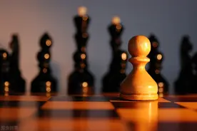 企业防御型战略制定与实施策略研究报告（二）图片