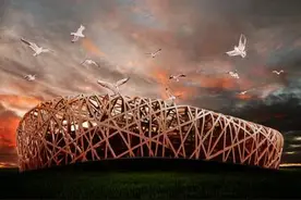 鸟巢中的建筑学图片