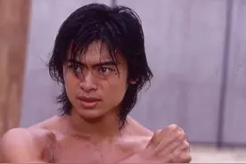 4岁就以童星出道,颜值演技都在线的功夫明星樊少皇,为何就是不红?图片