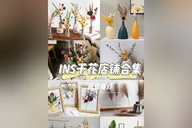 高级文艺干花店铺分享，打造美好家居生活图片