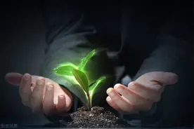 植物人的托养机构-延生托养图片