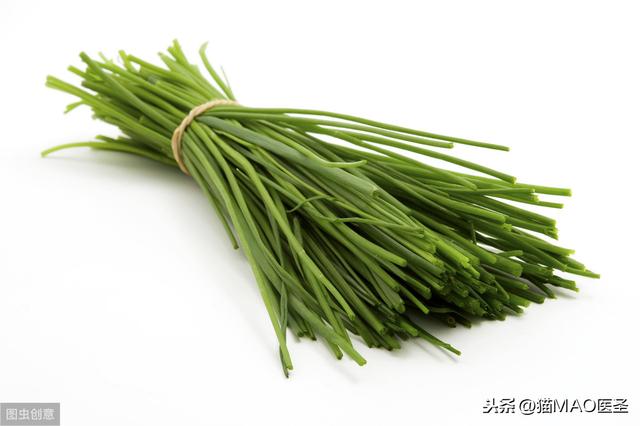 猫血液疾病｜猫吃家里某些物质，引发贫血，即亨氏小体溶血性贫血