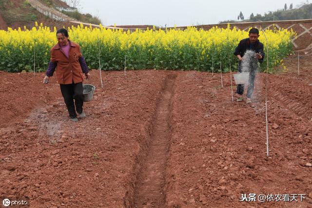 钼肥促进作物生长作用大，农民朋友深入了解，才能科学使用它