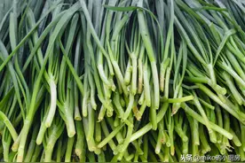 夏天韭菜容易烂，教你3招，轻松延长存放期，菜叶新鲜嫩绿图片