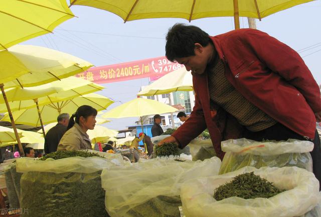 市面上的假茶为何这么多？原因有2点，很多人早就料到
