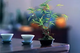 人生似水岂无涯，浮云吹作雪，世味煮成茶。 ​​​​图片