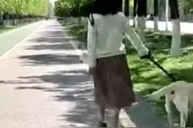 西安生活 热议的河堤路图片