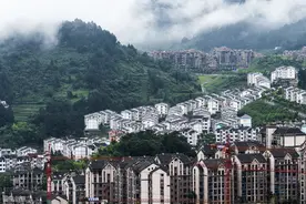 非裔移民是什么意思图片