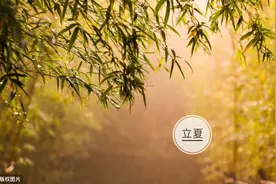 美丽的夏天图片