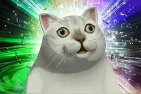 奇怪的生殖系统，到底谁是妈妈？图片