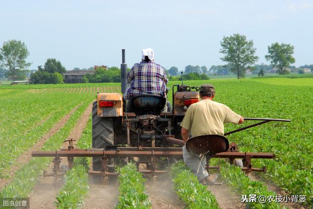 叶面肥使用看似简单，但未必人人能用对！10个方法教你提高肥效