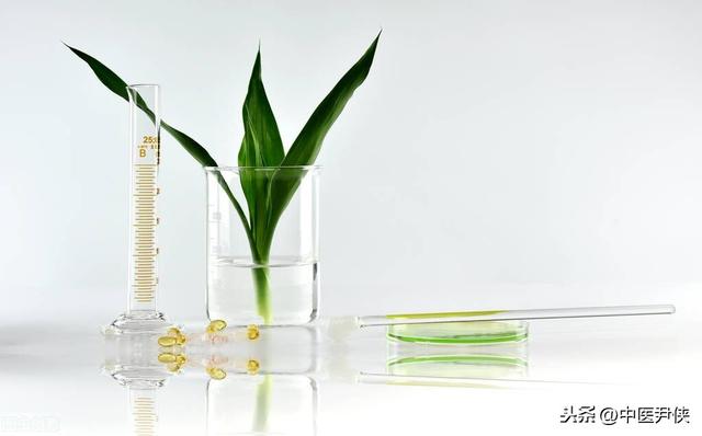 《执业中药师》中药化学考点，化学成分，性味、主治、附方，