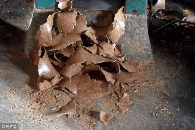 养鸡常用的植物蛋白质饲料有哪些？本文为您介绍7种！