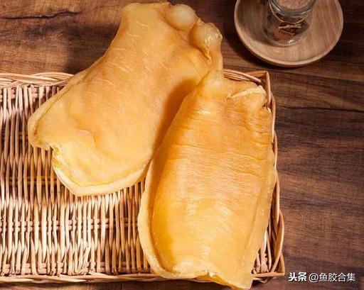 赤嘴鳘鱼胶功效作用 2026年赤嘴鳘鱼胶是什么鱼