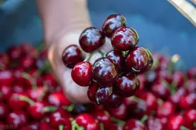 水果的防腐处理经常“秘而不宣”，究竟用了哪些手段？图片