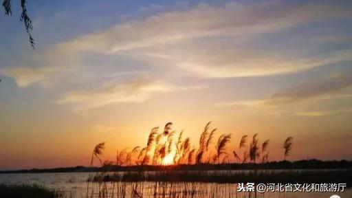大美不言 | 衡水湖