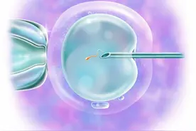 “借腹生子”？生殖医学专家：育龄夫妇应适时生育，代孕在我国属违法行为图片