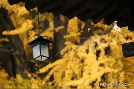 李世民最宠爱的儿子魏王李泰和他触手可及的储君之位图片