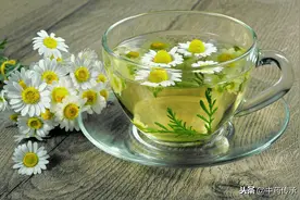 功效不同的五种菊花，你分辨清楚了吗？图片