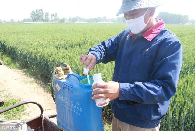 含铜农药有哪些？怎么用？看这里！