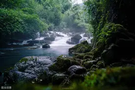 杨万里《小池》表现了大自然中万物之间亲密和谐的关系图片