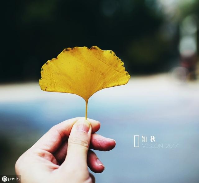 非常有哲理的小故事，看完，你就什么都想通了