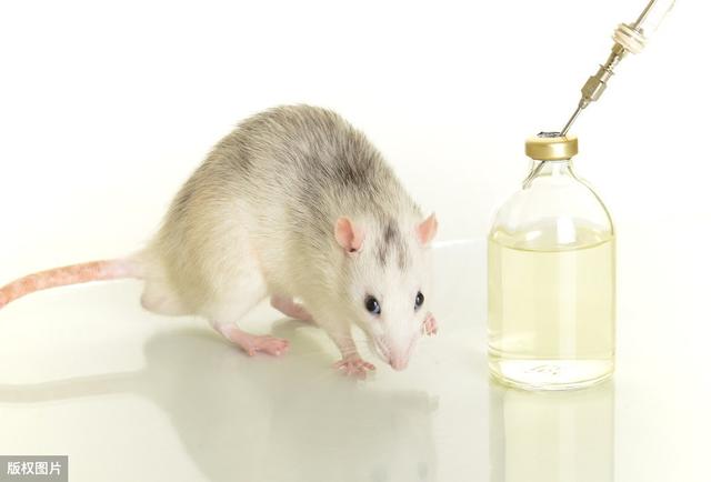 辟谣丨牛磺酸真的对运动表现有效吗？更多的是心理安慰