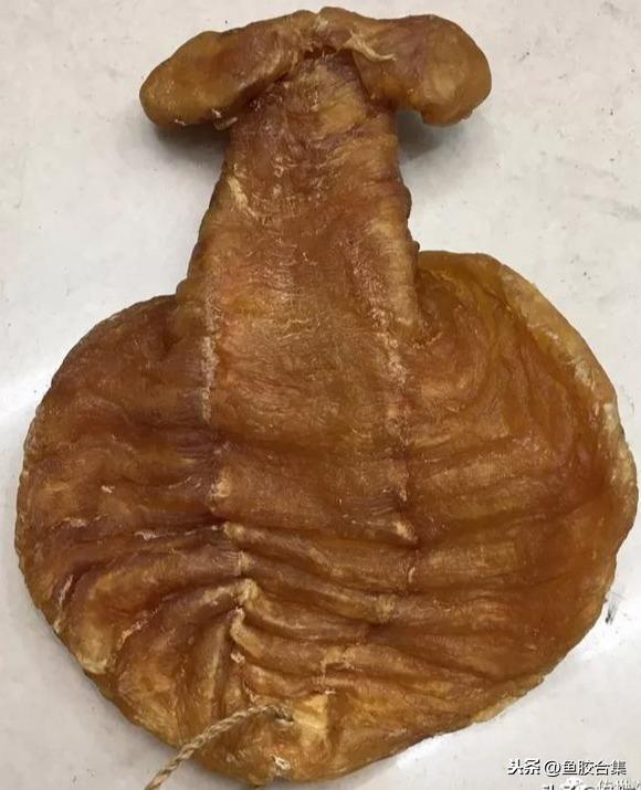 长长的是什么花胶 2026年细长的花胶