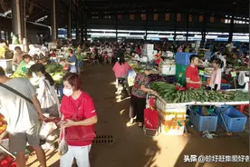 七月底，广州西朗市场购物记录，菜价确实亲民图片