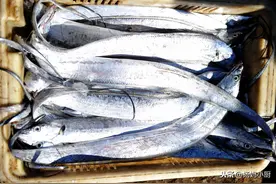 这5种常见海鱼都是野生捕捞，至今无法人工养殖，遇到后放心买图片