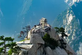 华山两只斑羚现身东峰鹞子翻身图片