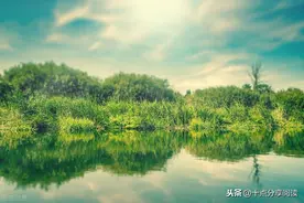 该来的总会来图片