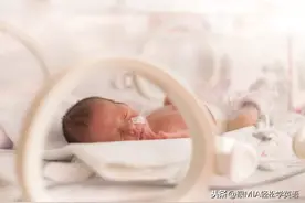 “早产儿”千万不要说成early born baby哦图片