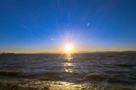 10 个软件开发失败的示例图片