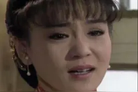 刘雪华最后一次见丈夫：凌晨四点醒来后身边没人，客厅的窗户开着图片