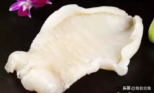 蜘蛛肚花胶怎么发 2026年蜘蛛片花胶