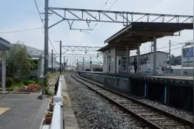 号称猫咪天堂的日本猫岛，居民与猫咪和谐相处图片