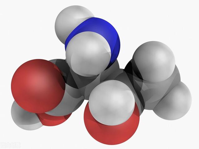 一日三餐，你的必需氨基酸吃够了吗？