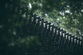 雨夜的梦穿过岁月，奔向远方。梦里的远方，惊鸿照影，一片迷茫图片