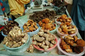 吃野生菌看见“小精灵”？这6种菌子，云南人拼着中毒也要吃图片