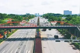 云龙大道（洞株路株洲延伸段）快速化改造项目最新进度来了图片