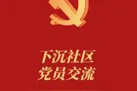 湖北省药监局武汉分局组织下沉社区党员交流图片