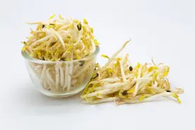 春天的这些“芽菜王”，千万别错过！经常吃，养肝益肾身体佳图片